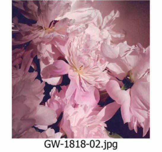 Modern Art Wall Print – Stillbloom (40x70cm)