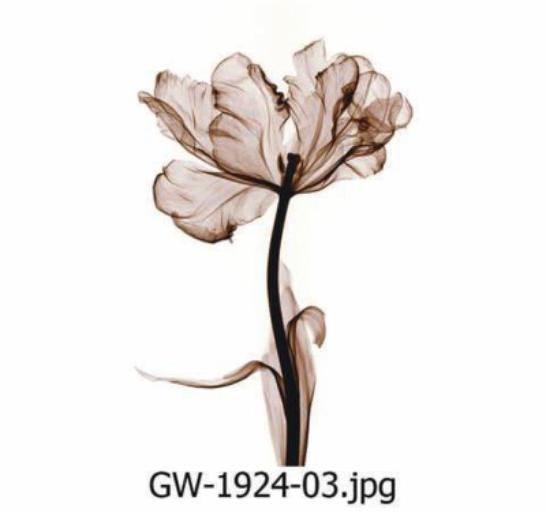 Modern Art Wall Print – Refraction (40x70cm)