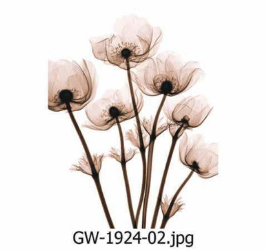 Modern Art Wall Print – Harmony (40x70cm)